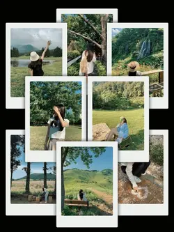 8Pic Clip Transition