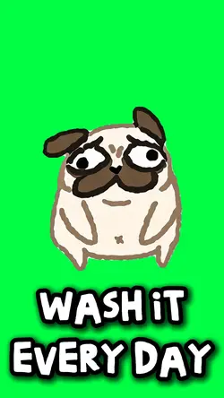 WASH IT EVERY DAY