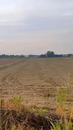 ghép độc lạ