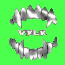 VXLK 3DWATERMARK 