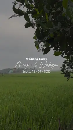 Cinematic Wedding 