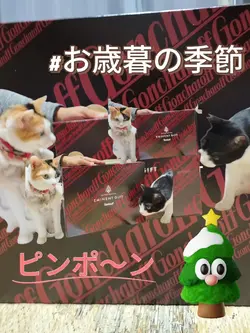 #お歳暮と猫の動画