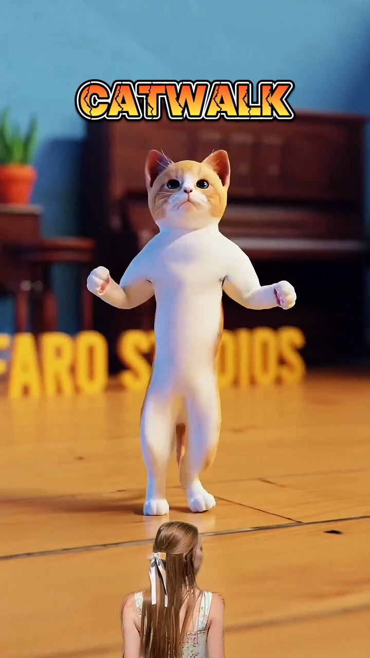 CATWALK