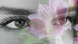 eyes & flowers
