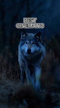 BEST MOVIE TRAILER