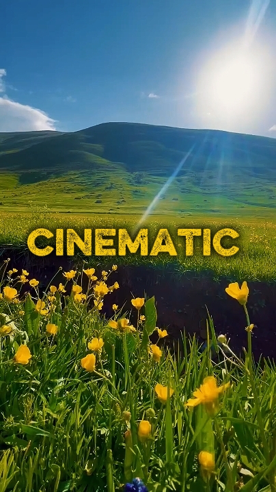 Cinématique 