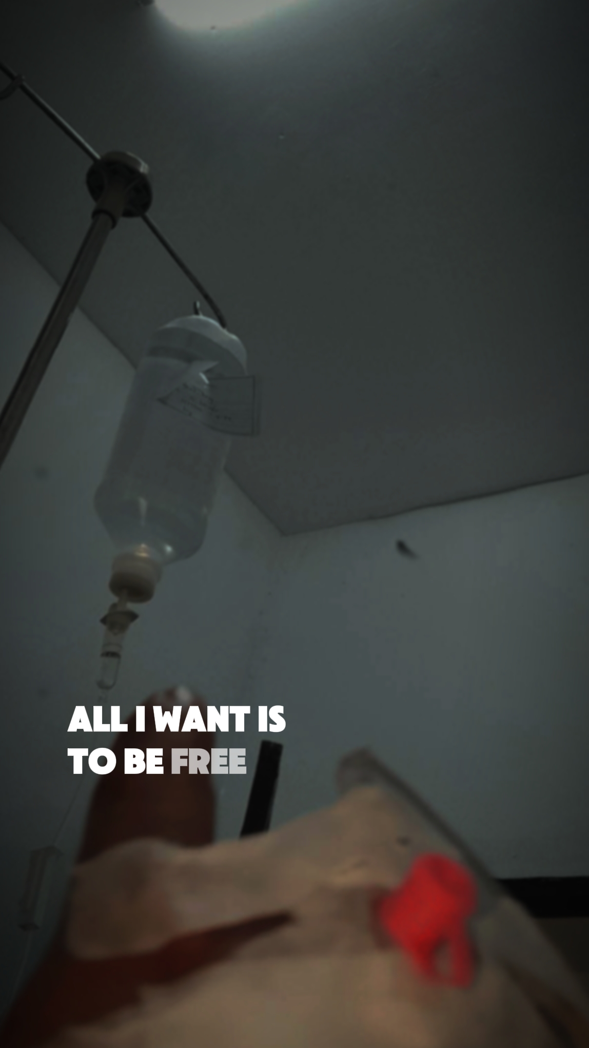 To be Free | US