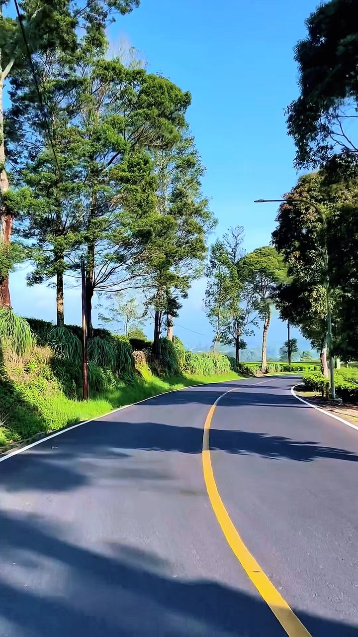 5 clips road trip