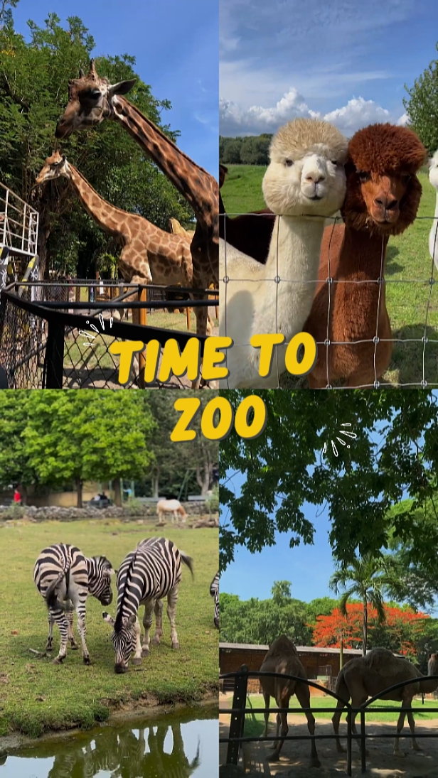 Hora de zoológico