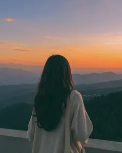 Vibes Sunset 