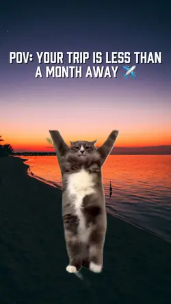 VACATION MEME