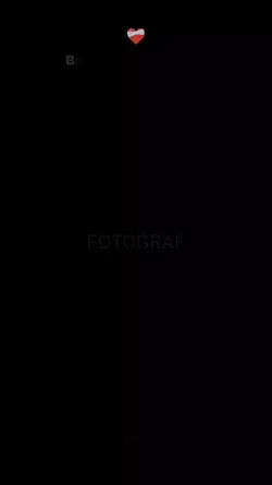 Yeni yıl