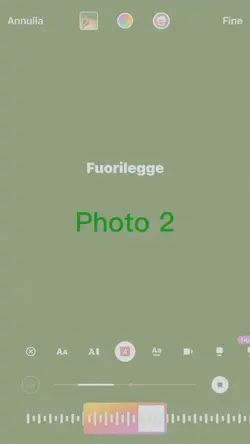 fuorilegge