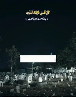 New video filter