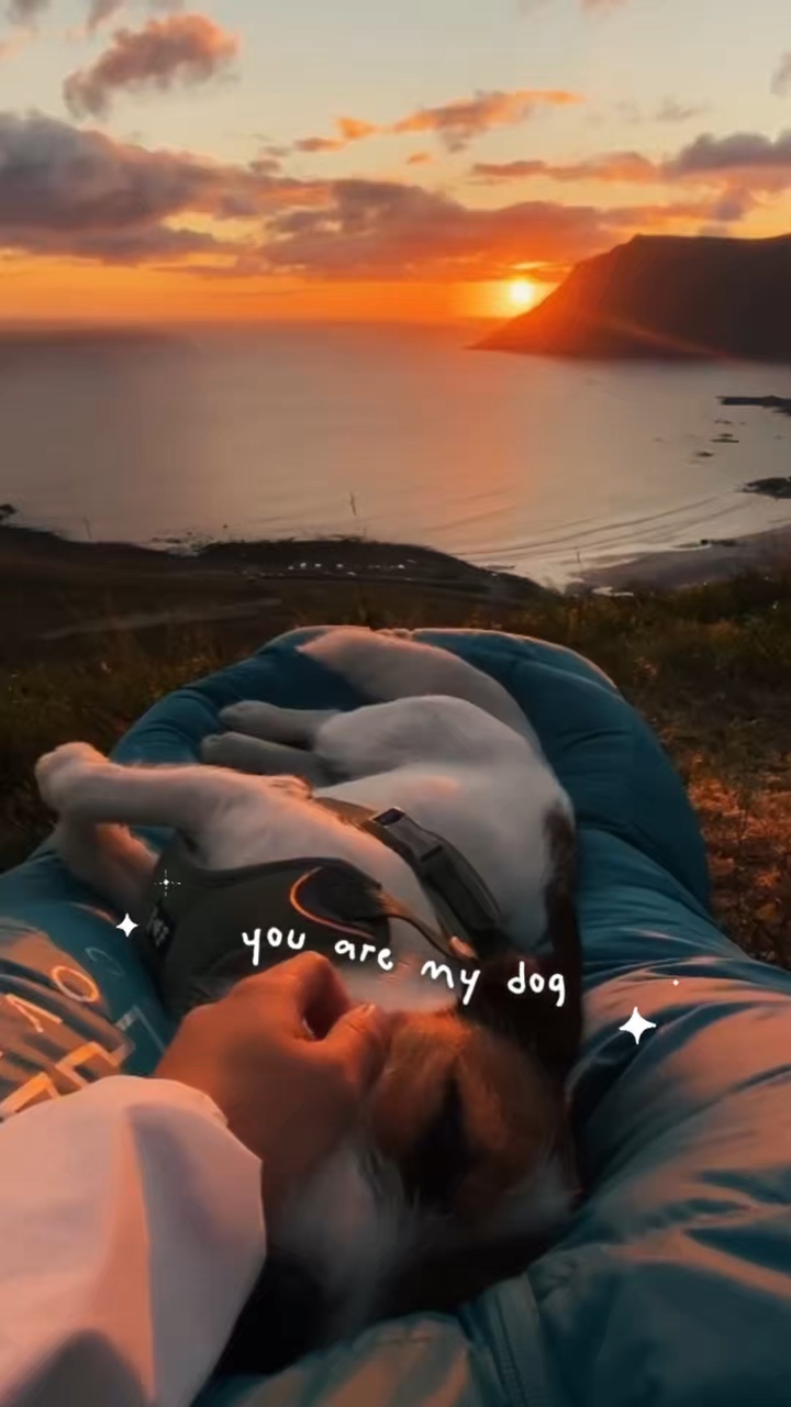 Eres mi perro