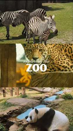 exploring the zoo