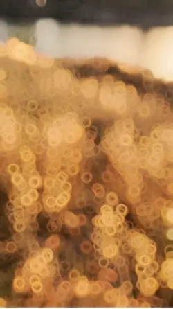 Gözüm Dalar Uzaklara