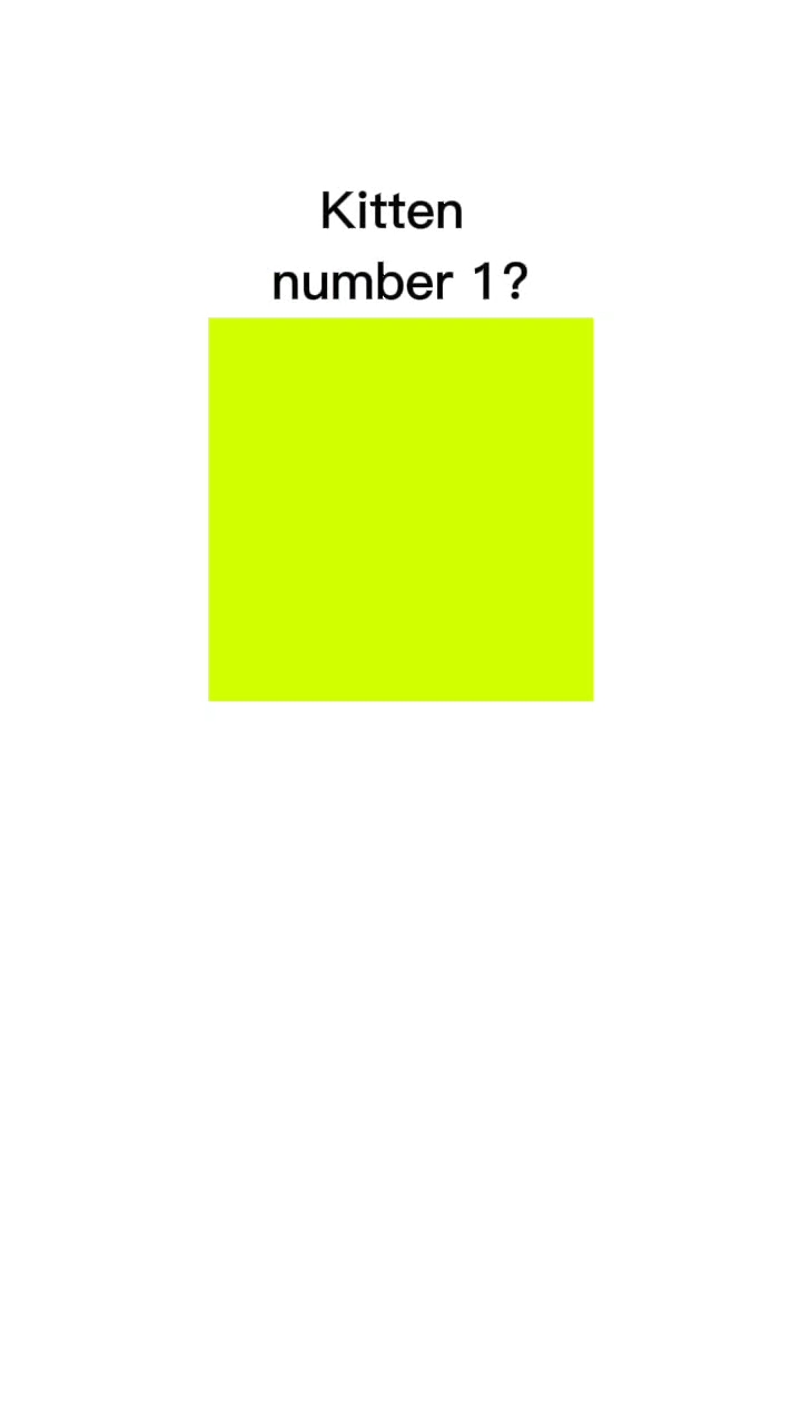 Nueva plantilla 