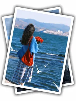 3Pic Frame Aesthetic