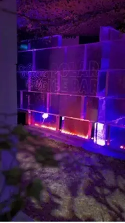 The Ice Bar
