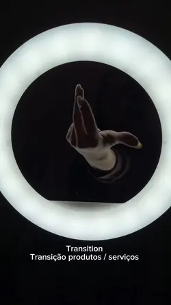 Transition / results