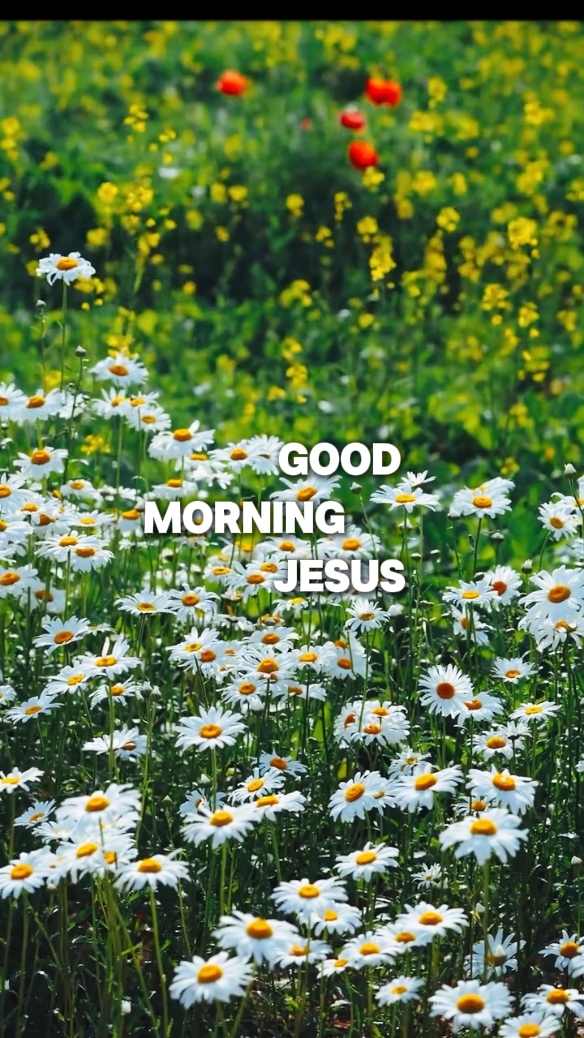 Bom dia Jesus