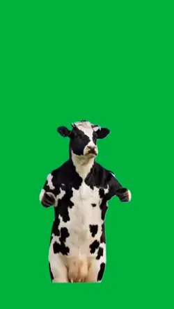 Dancing cow 