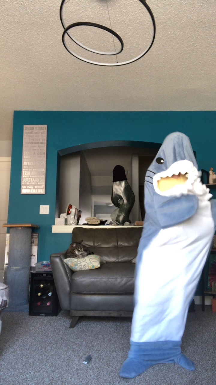 Shark doing springt-