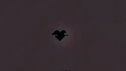 hehehe