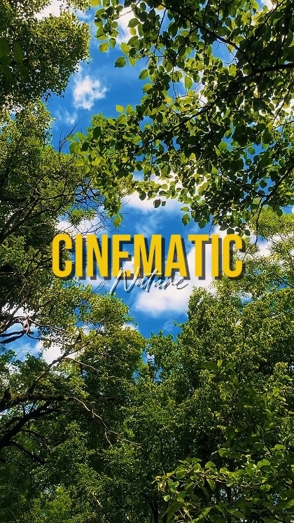 NATUREZA CINEMÁTICA