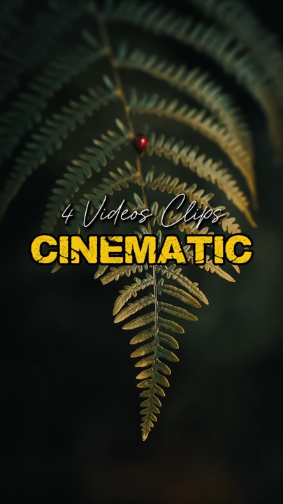 Cinematic 4 Videos 