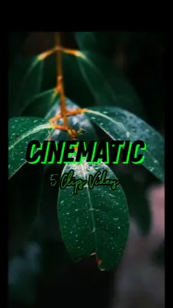 CINEMATIC 5 Clips
