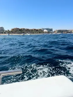 marine biologist 🩵🐬