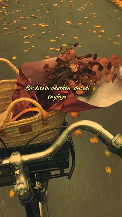 hayat da işte böyle