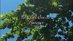 ✩ summer film ✩ 