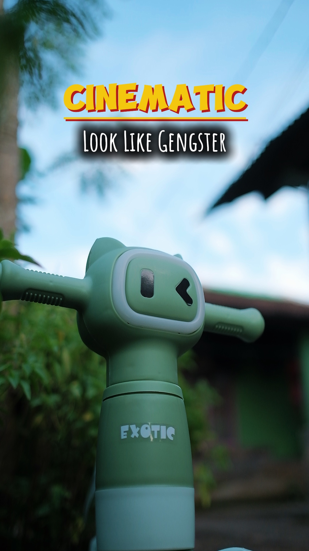 Look Like Gengster