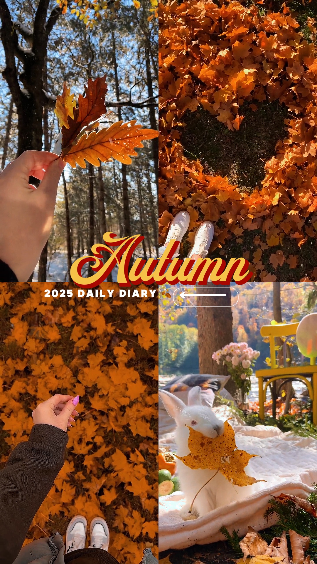 Autumn 2025 daily 