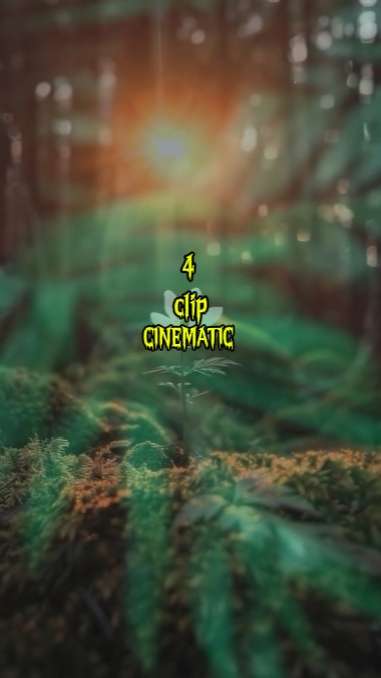 4 clip cinematic 