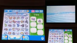 ウルトラサンムーン伝説ポケモン