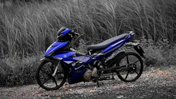 1 video + màu xịn