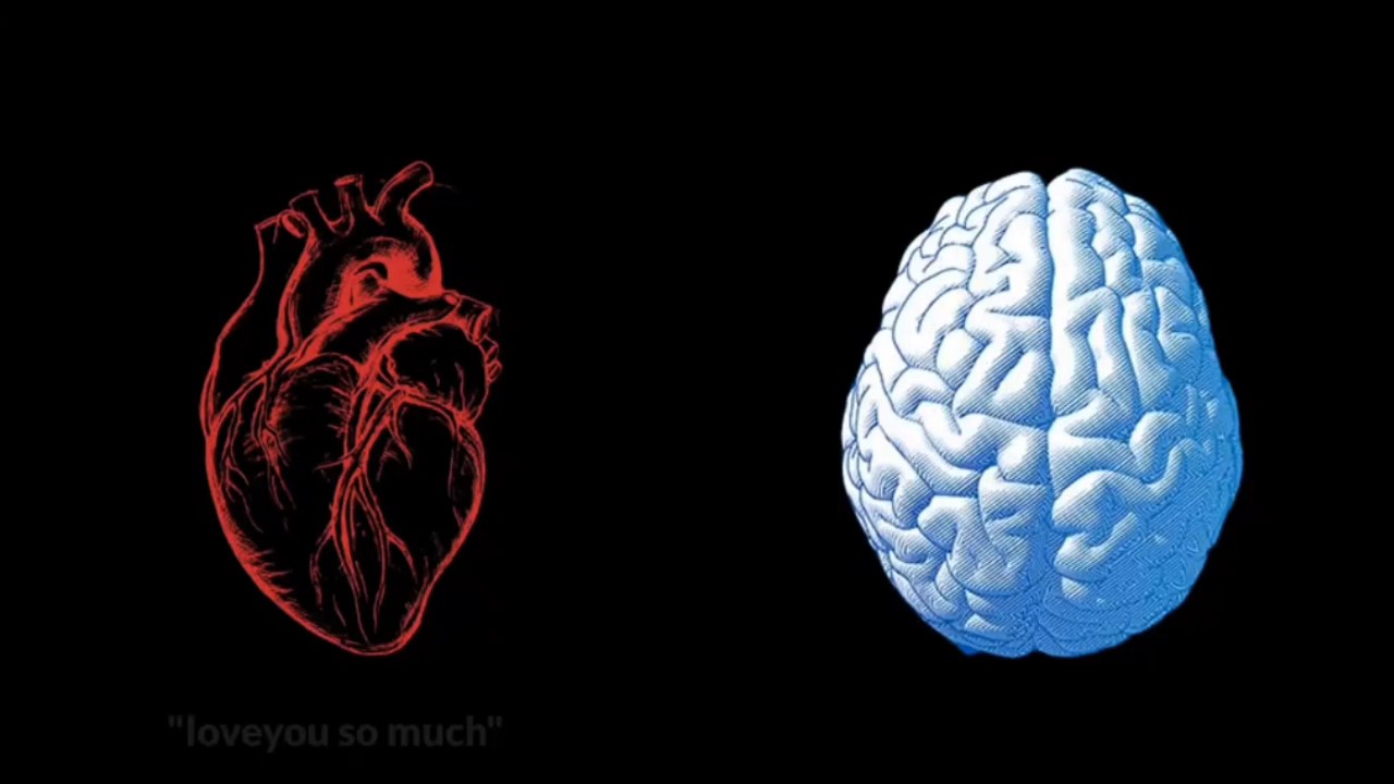 my heart x my brain