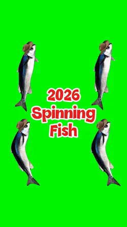 Spinning Fish