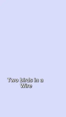Two birds on a wire