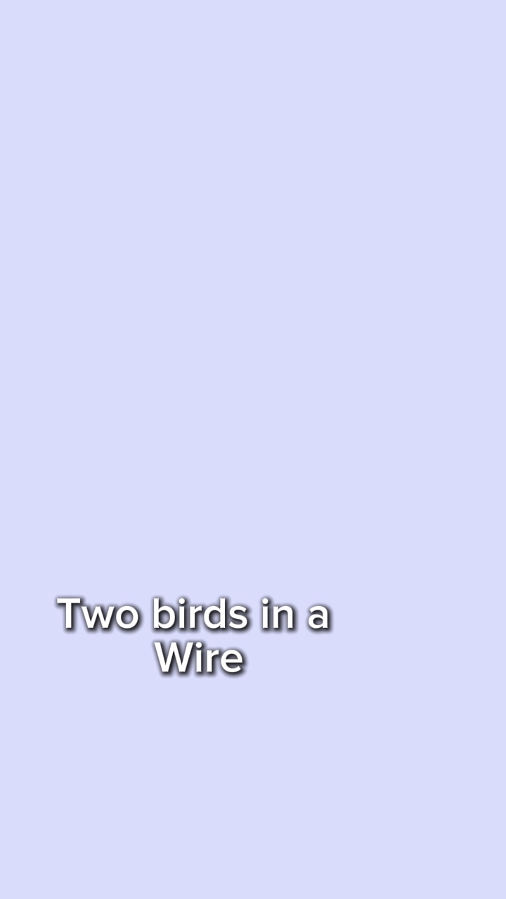 Two birds on a wire