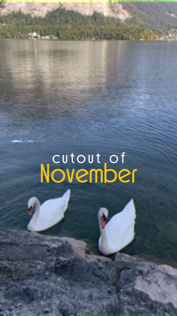 Cuotout November 