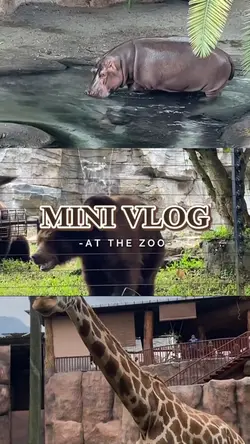 Mini vlog zoo