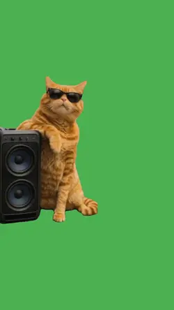 cat song