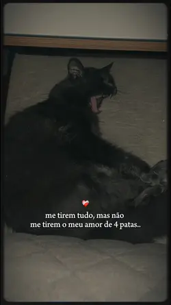 me tirem td, menos..