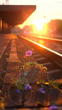 Yeni şablon 😍🫶🏻❤️‍🔥