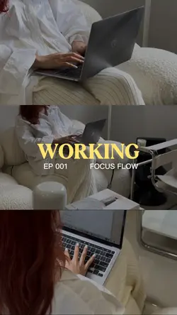 WORKING FLOW